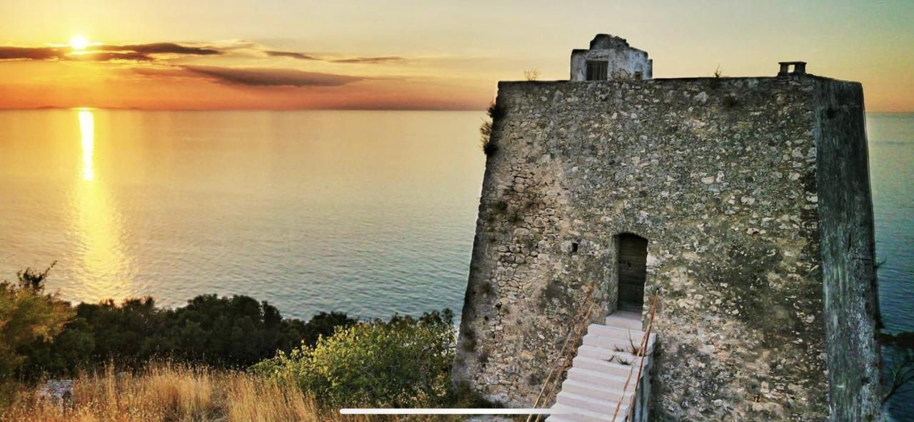 Villa Pineta San Menaio Kültér fotó