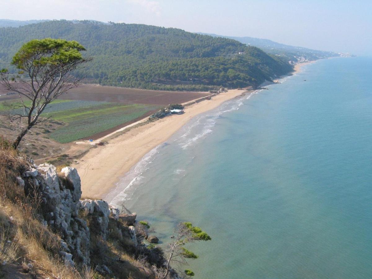 Villa Pineta San Menaio Kültér fotó