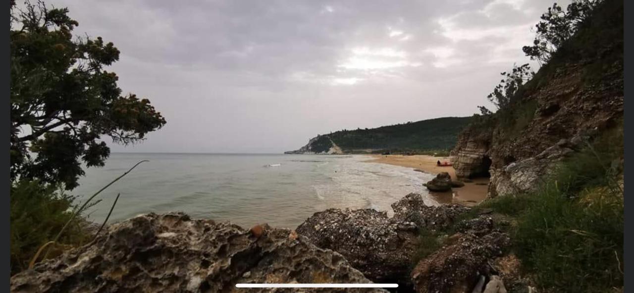 Villa Pineta San Menaio Kültér fotó