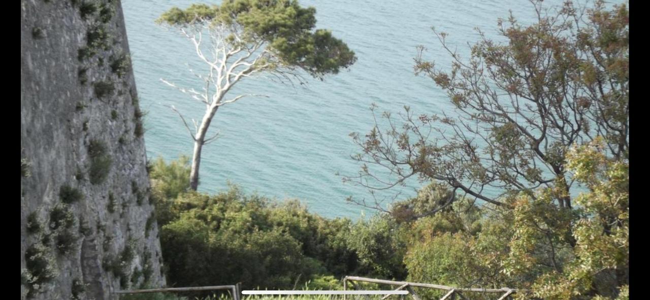 Villa Pineta San Menaio Kültér fotó